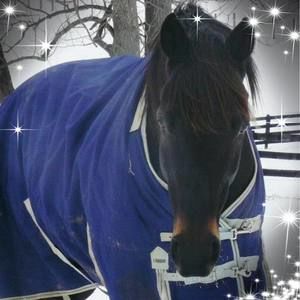 Meet your Posher, Janet